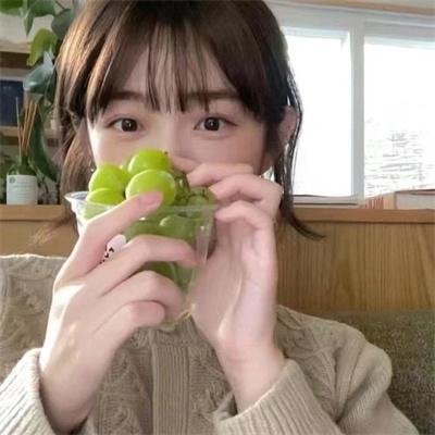 艳探莉莉